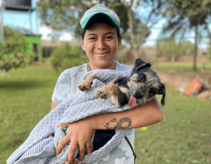 Our Program loving homeless animals