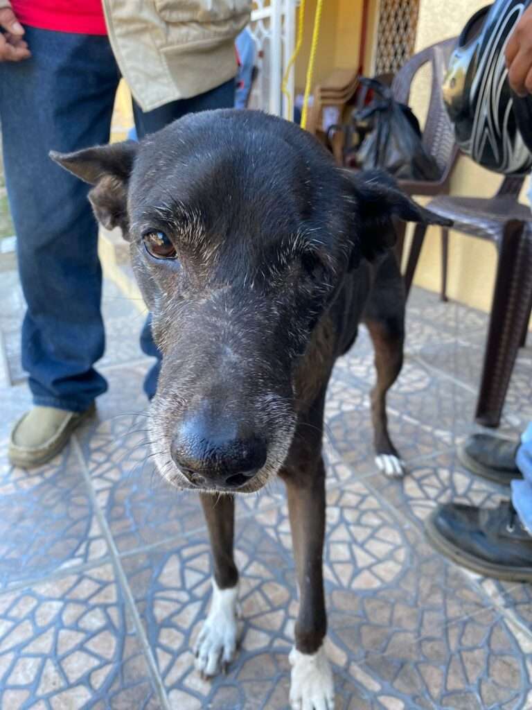 Our Impact IMG-20240202-WA0003